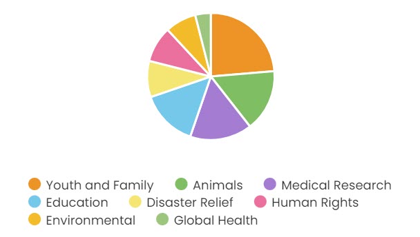 Fundraising Statistics - pie chart showing the breakdown of nonprofit causes donated to